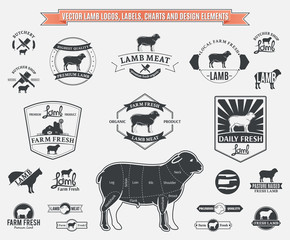 Vector Lamb Logos, Labels, Charts and Design Elements © Vlad Klok