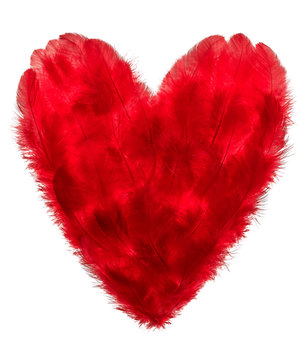 Valentines Day. Heart shaped made of Red feathers