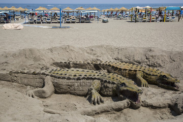crocodile sand in Andalusia