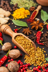still life with different spices and herbs