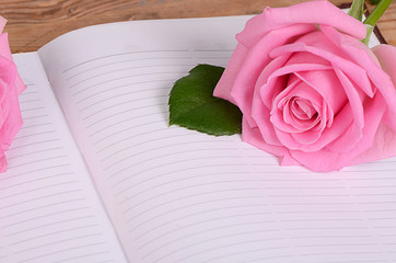 The rose on the book