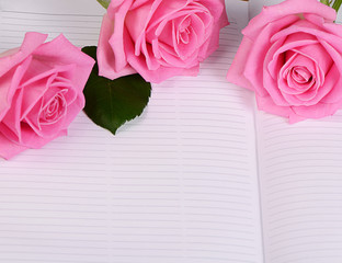 The rose on the book