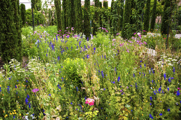 andalucia, garden of Alhambra