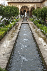 Fototapeta na wymiar andalucia, garden of Alhambra