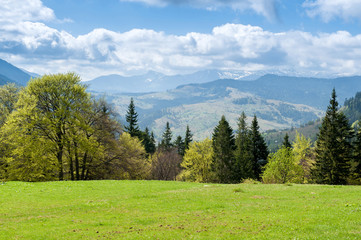 landscape with mountains. Spring of Carpathians.