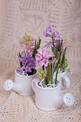 hyacinth