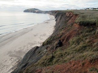 Falaise en érosion (Cliff erosion)