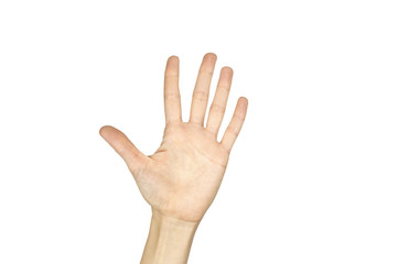 female hand showing number five sign isolated over white