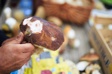 Bolet de l’Ardèche