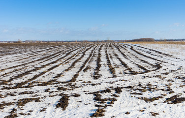 Ukrainian agricultural landscape at winter season