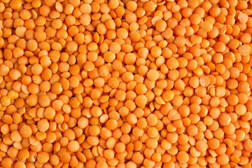 Fototapeta premium Tło z czerwonej soczewicy