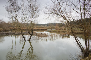 Park of tabueira,Aveiro Portugal