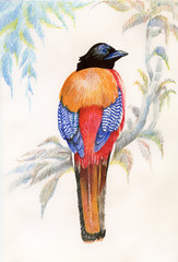 Fototapete bei efototapeten.de bestellen   