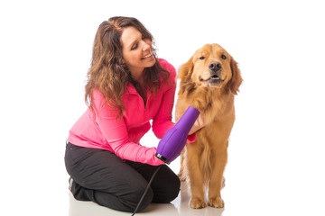 Woman grooming dog with a blowdryer