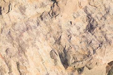 Hard Textured Stone Background
