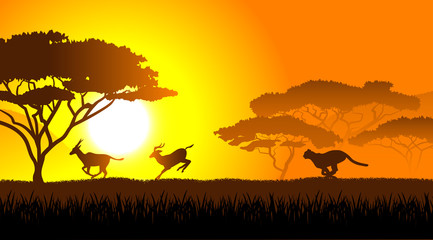 Fototapeta na wymiar African savanna an evening landscape