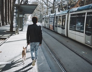 Man is walking with his dog on the street