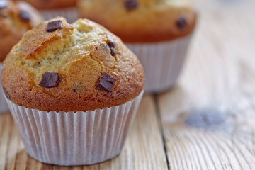 Vanilla muffins with chocolate chips