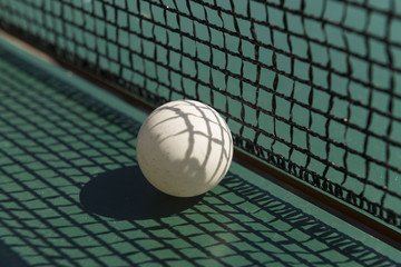 Ping pong ball and net