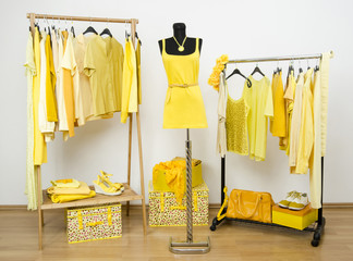 Dressing closet with yellow clothes on hangers and dummy.