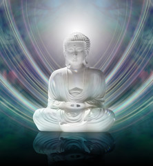 Buddha in Mindful Meditation