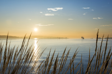 Cargo ship at sunset in the sea