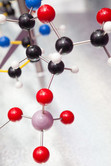 Obraz premium Science Molecular DNA Model Structure, business concept..