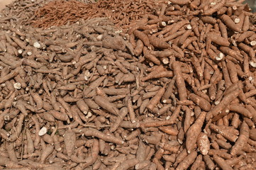 Many cassavas for sell in the market, Closeup detail