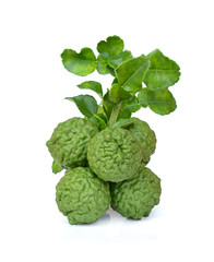 Fototapeta premium kaffir Lime or Bergamot fruit on white background