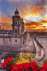 Fototapete Mexiko Metropolitan Cathedral Christmas Zocalo Mexico City Sunrise