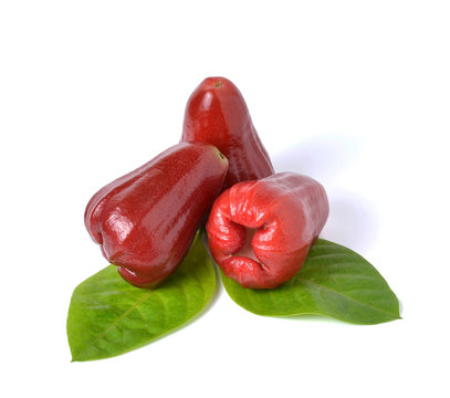 rose apple isolated on a white background.