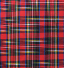 Red black and White rustic plaid fabric swatch textile backgroun