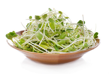 green young sunflower sprouts in the bowl isolated on white back