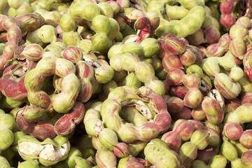 A lot of manila tamarind