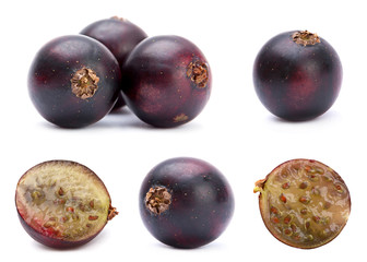 Fototapeta premium Black currant set