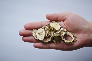 herbal medicine