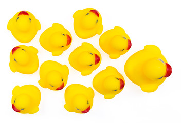 Rubber duck