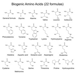 Fototapeta na wymiar Twenty two biogenic amino acids - chemical formulas