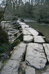 Ancient stepping stones