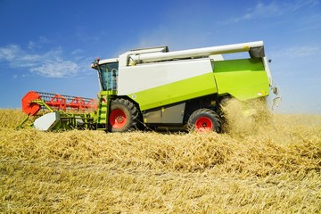 Obraz premium Mähdrescher bei der Getreideernte vor blauem Himmel