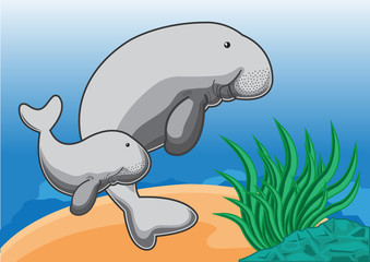 dugong