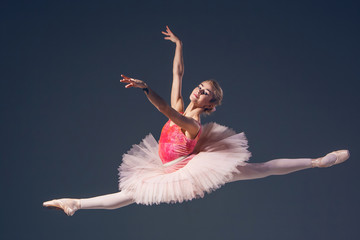 Beautiful female ballet dancer on a grey background. Ballerina © master1305