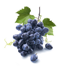Small wet blue grapes bunch and leaves isolated on white