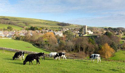 Abbotsbury Dorset England UK English countryside