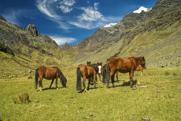 Photo sur Plexiglas Alpamayo Peruvian Andes
