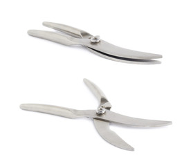 Secateurs fish metal scissors isolated