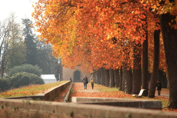 Fototapeta na wymiar Toscana,Lucca in autunno.