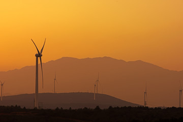 Obraz premium Wind turbines with power line in the sunset