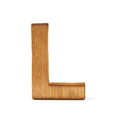 Capital block wooden letter isolated