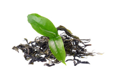Fresh and dry green tea on white background